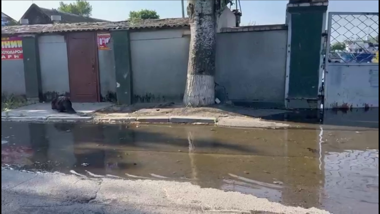 У Новій Каховці затопило зоопарк