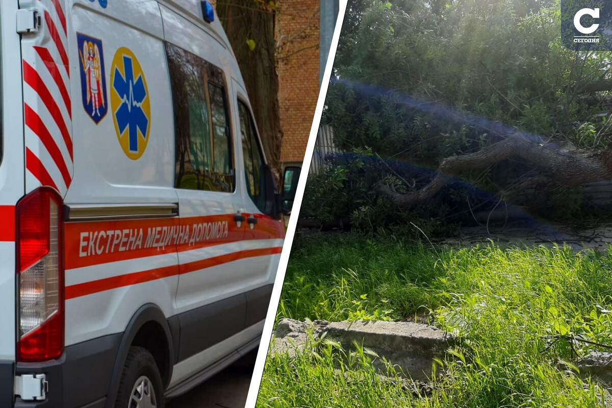 Пішов купатись і не повернувся — в с.Квіткове підлітка вбило деревом