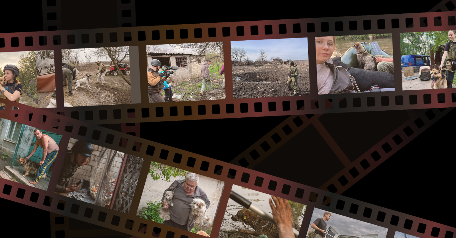 «Заручники війни»: інтервʼю з режисеркою про зйомки фільму та порятунок тварин